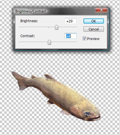 Creation of Colorful fish?: Step 4